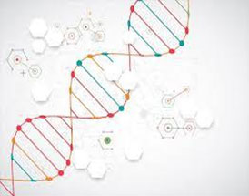 がんゲノム医療について