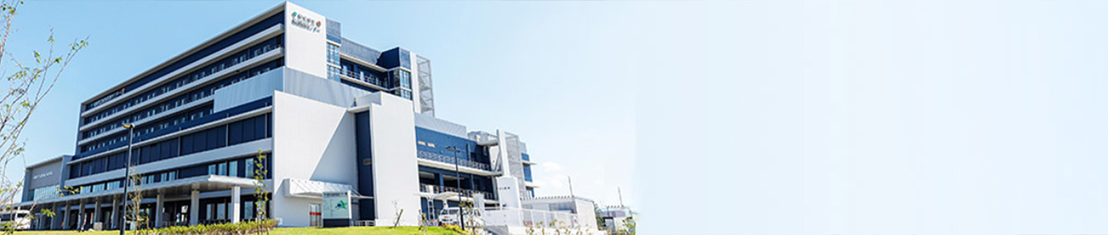 インタビュー画像